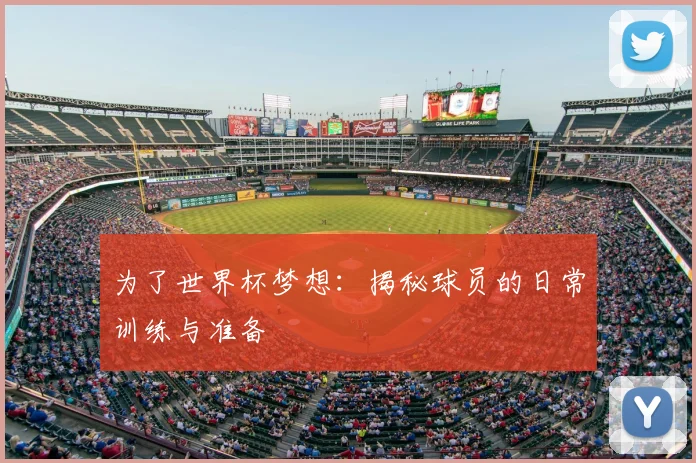 为了世界杯梦想:揭秘球员的日常训练与准备