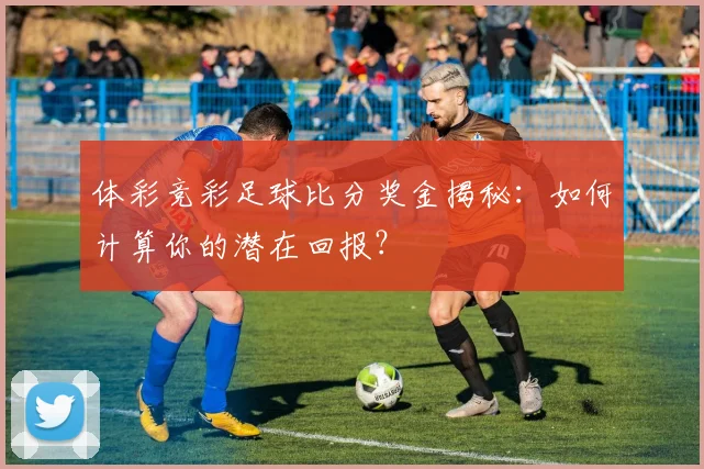 体彩竞彩足球比分奖金揭秘：如何计算你的潜在回报？