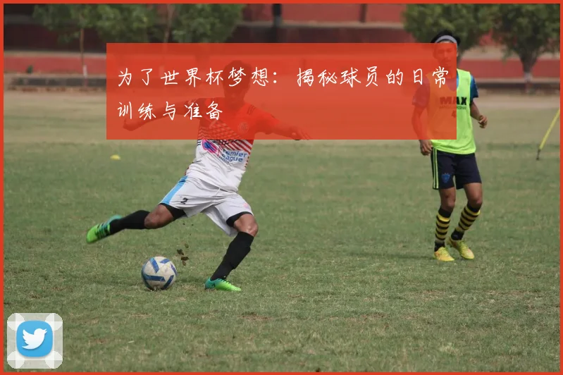 为了世界杯梦想:揭秘球员的日常训练与准备